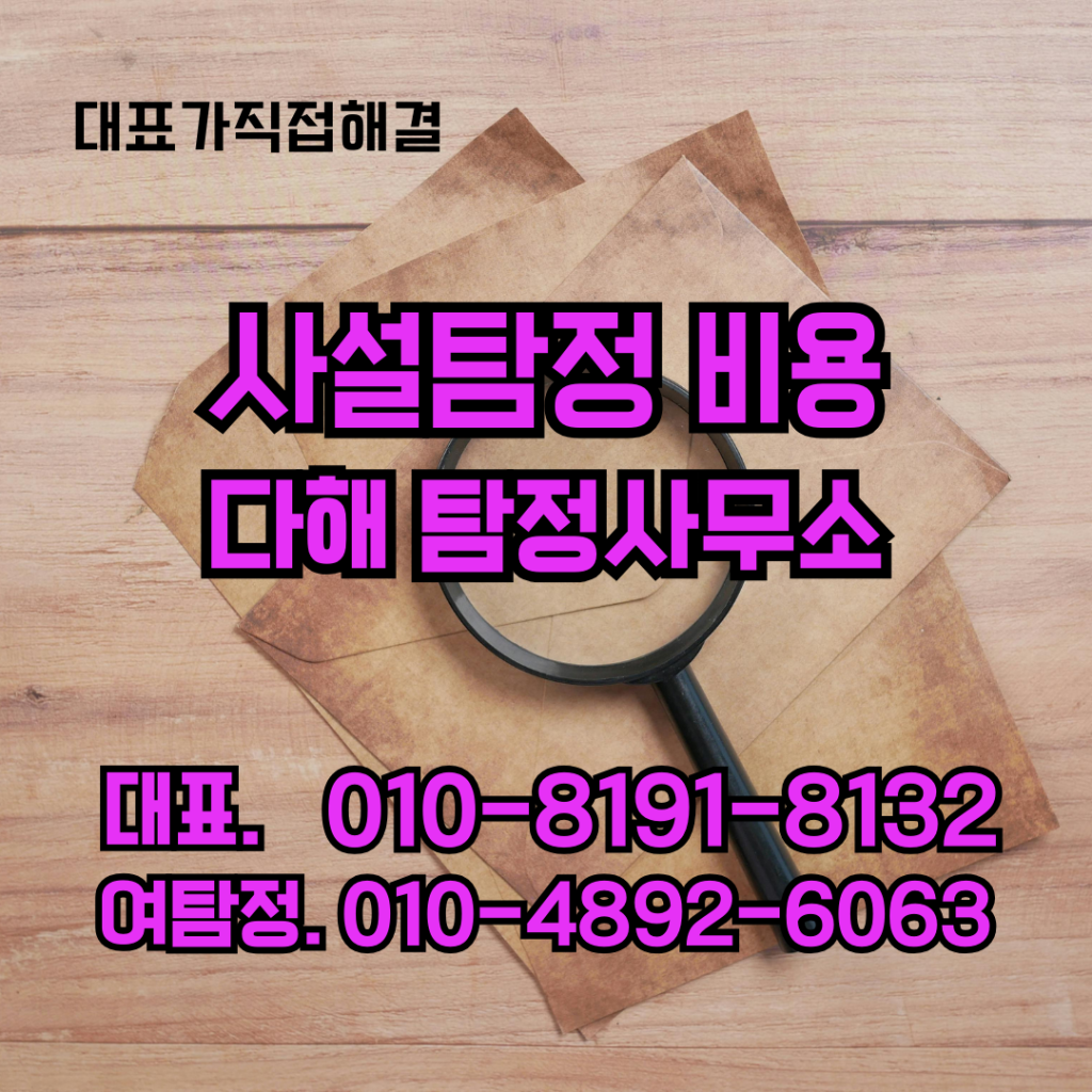 사설탐정
